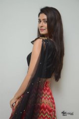 Payal Rajput New Photos